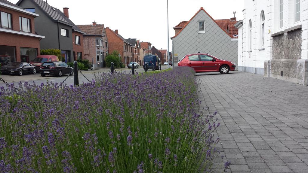 B&B Kasteel De Windt Nieuwkerken-Waas Kültér fotó
